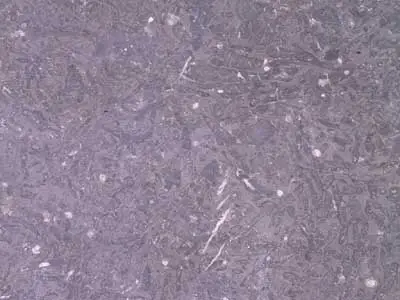 Aachener Blaustein limestone