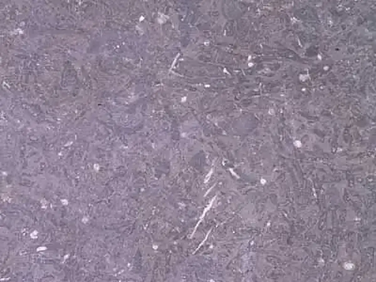 Aachener Blaustein limestone polished sample – Marmi di Carrara – grey (1)