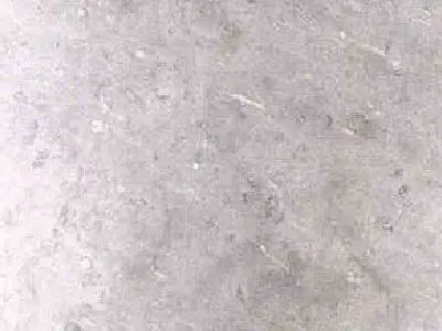 Absolute Grey marble