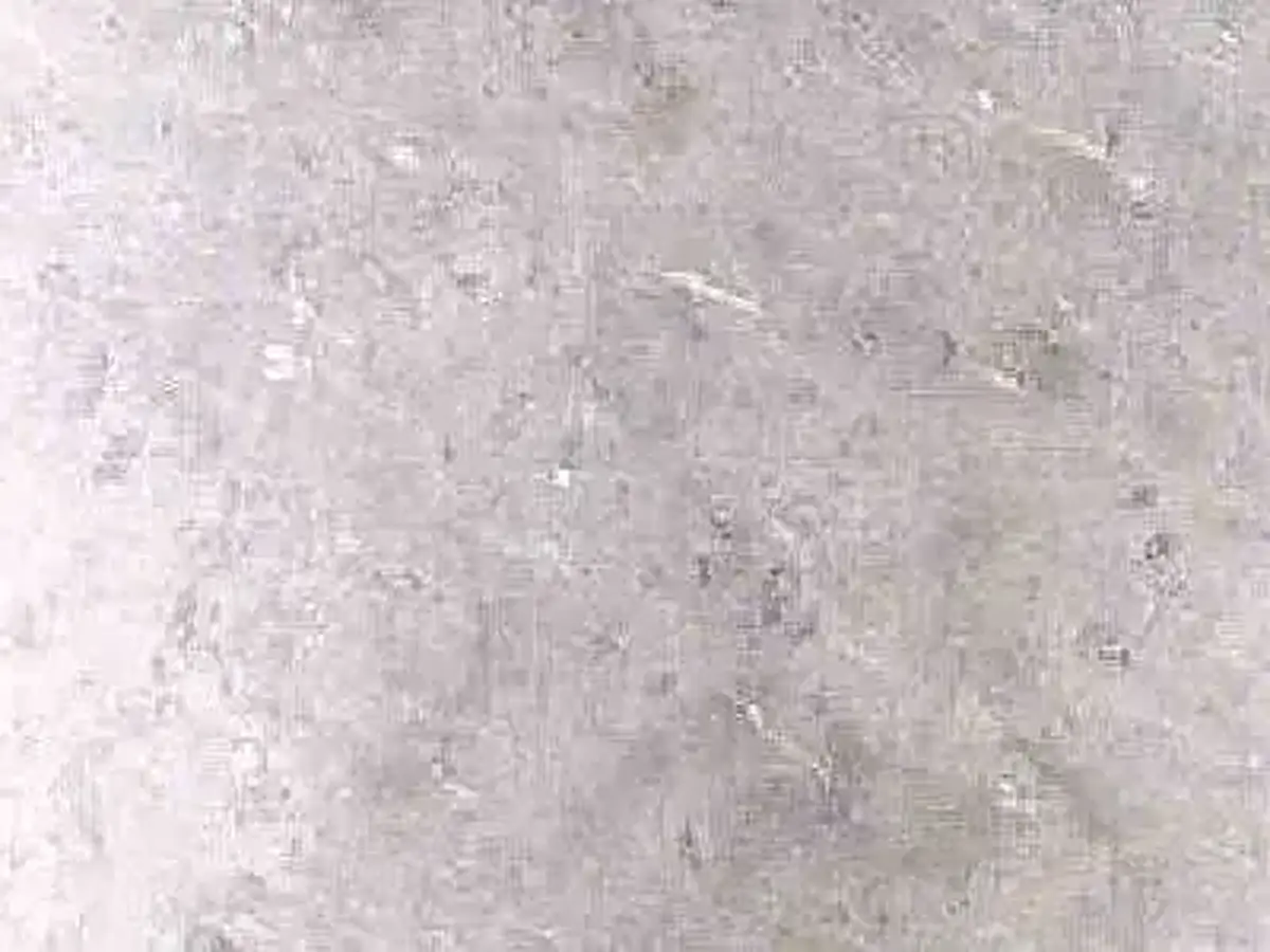 Absolute Grey marbre, échantillon poli – Marmi di Carrara – gris clair, blanc (1)
