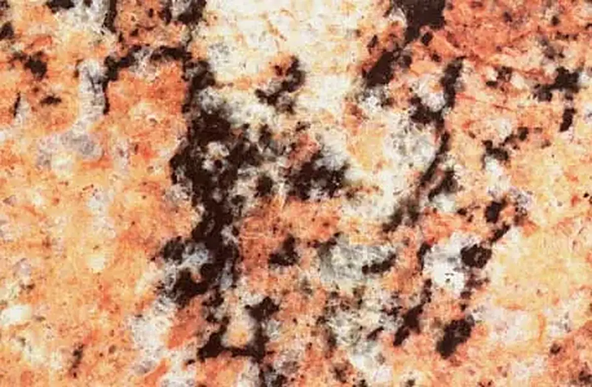 African Juparaná granite polished sample – Marmi di Carrara – beige, gold (1)