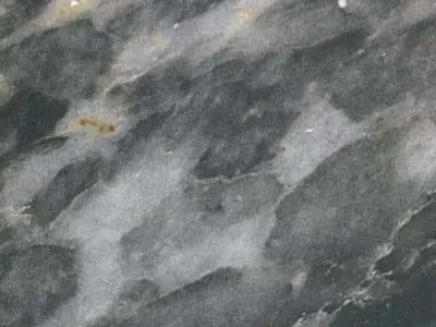 Afyon Altini marble