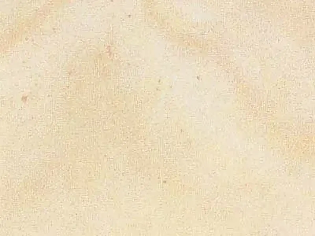 Agra White sandstone polished sample – Marmi di Carrara – ivory (1)