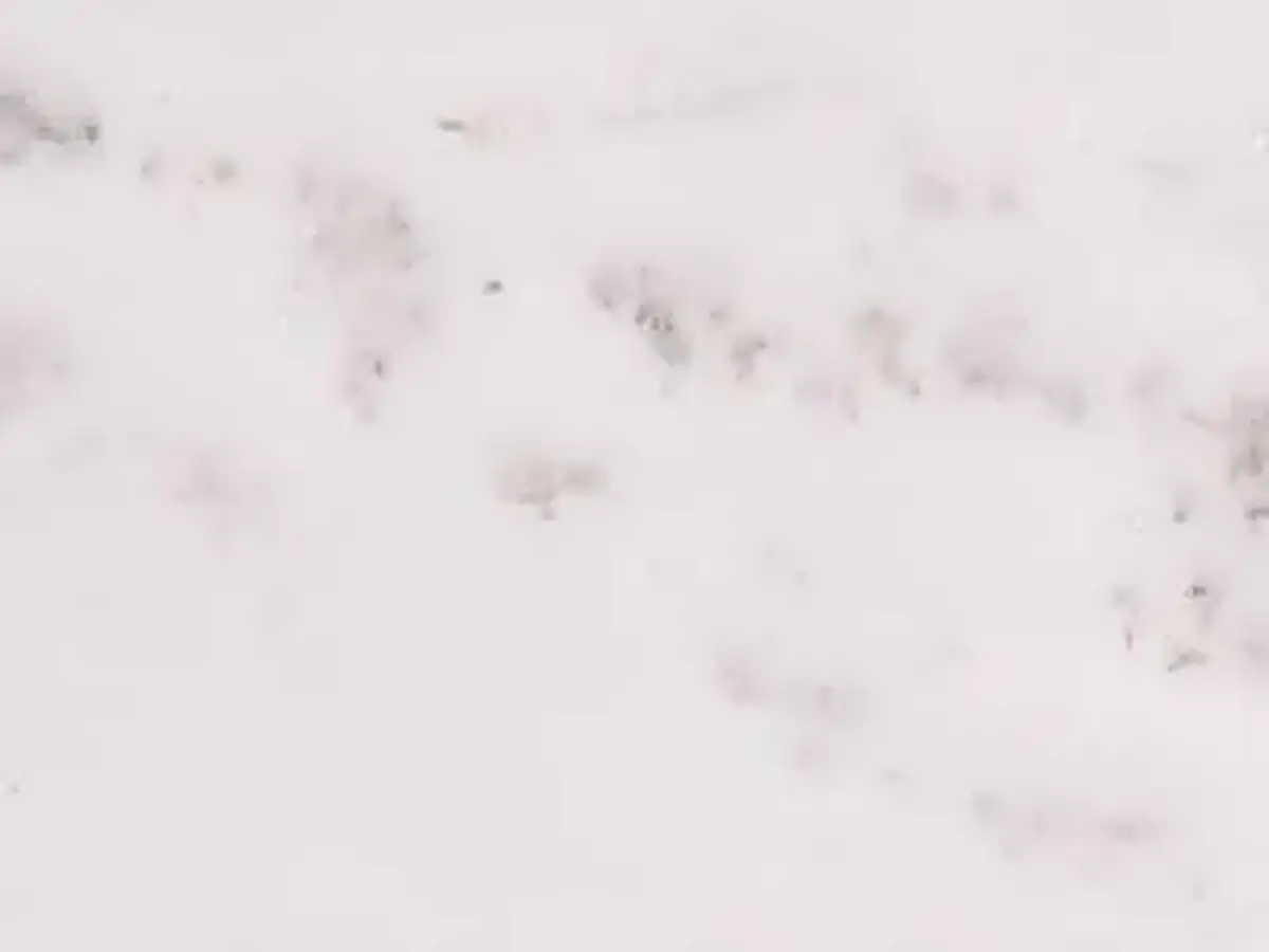 Alabama White marbre, échantillon poli – Marmi di Carrara – blanc, ivoire (1)