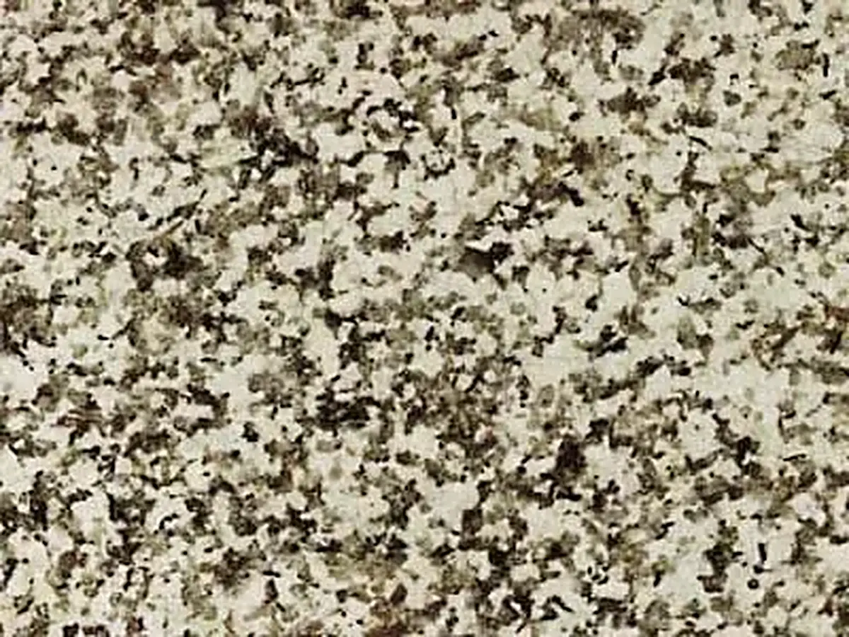 Albero granite polished sample – Marmi di Carrara – beige, grey (1)