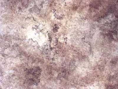 Algonquin Limestone limestone