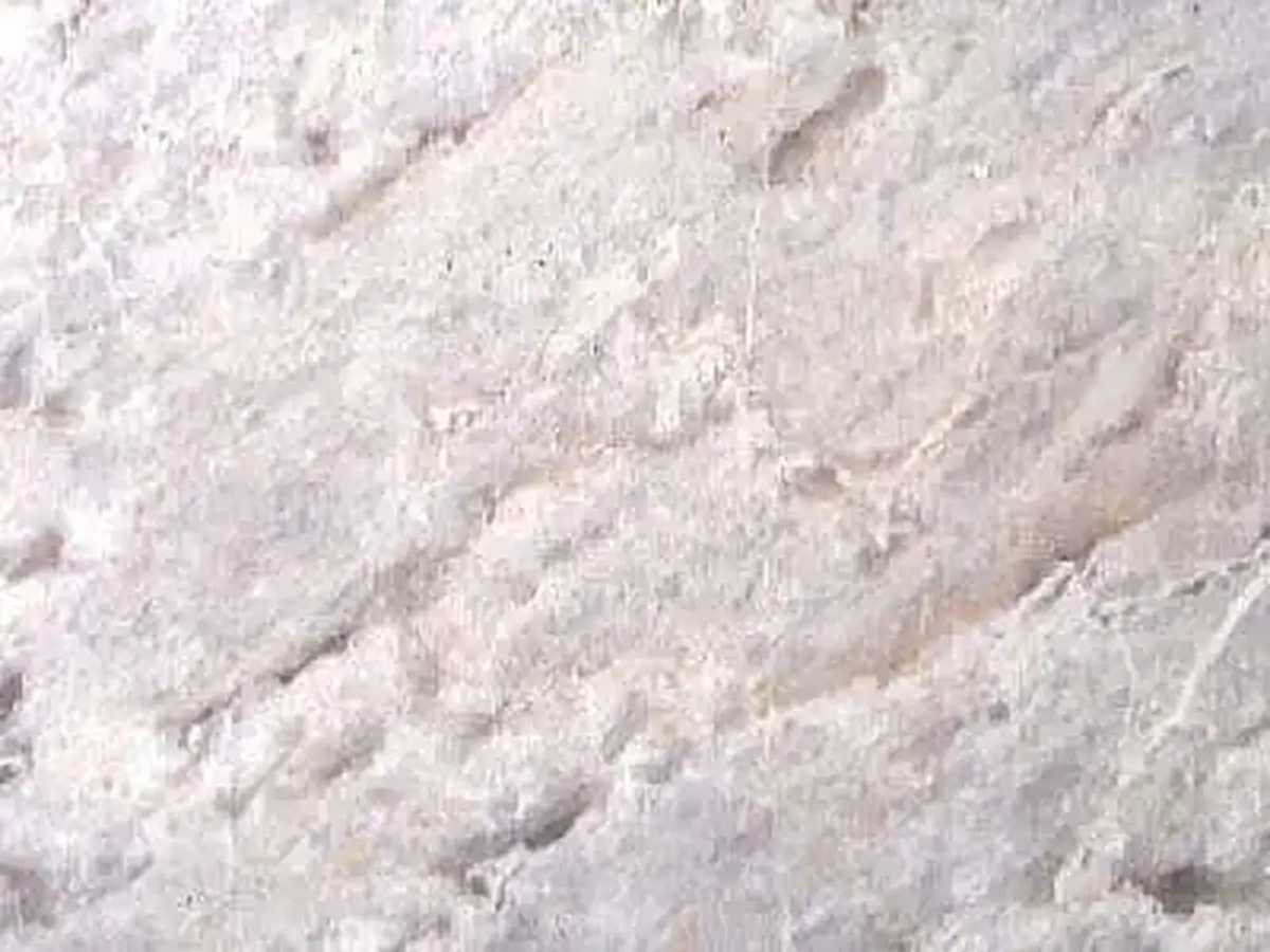 Aloides Semi White marmo, campione lucido – Marmi di Carrara – avorio, bianco (1)