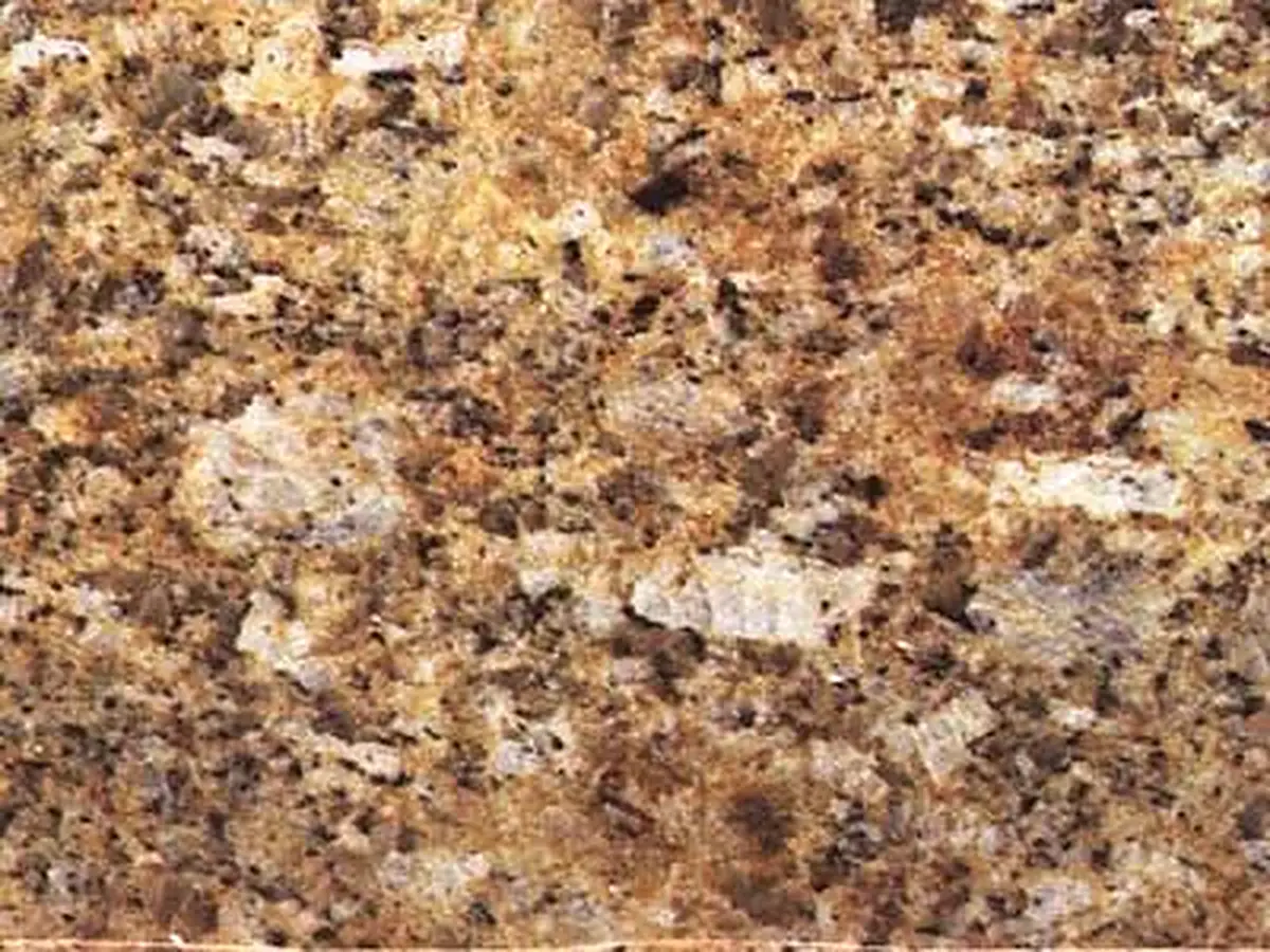 Amarelo Paraiso dark granit, échantillon poli – Marmi di Carrara – doré, beige (1)