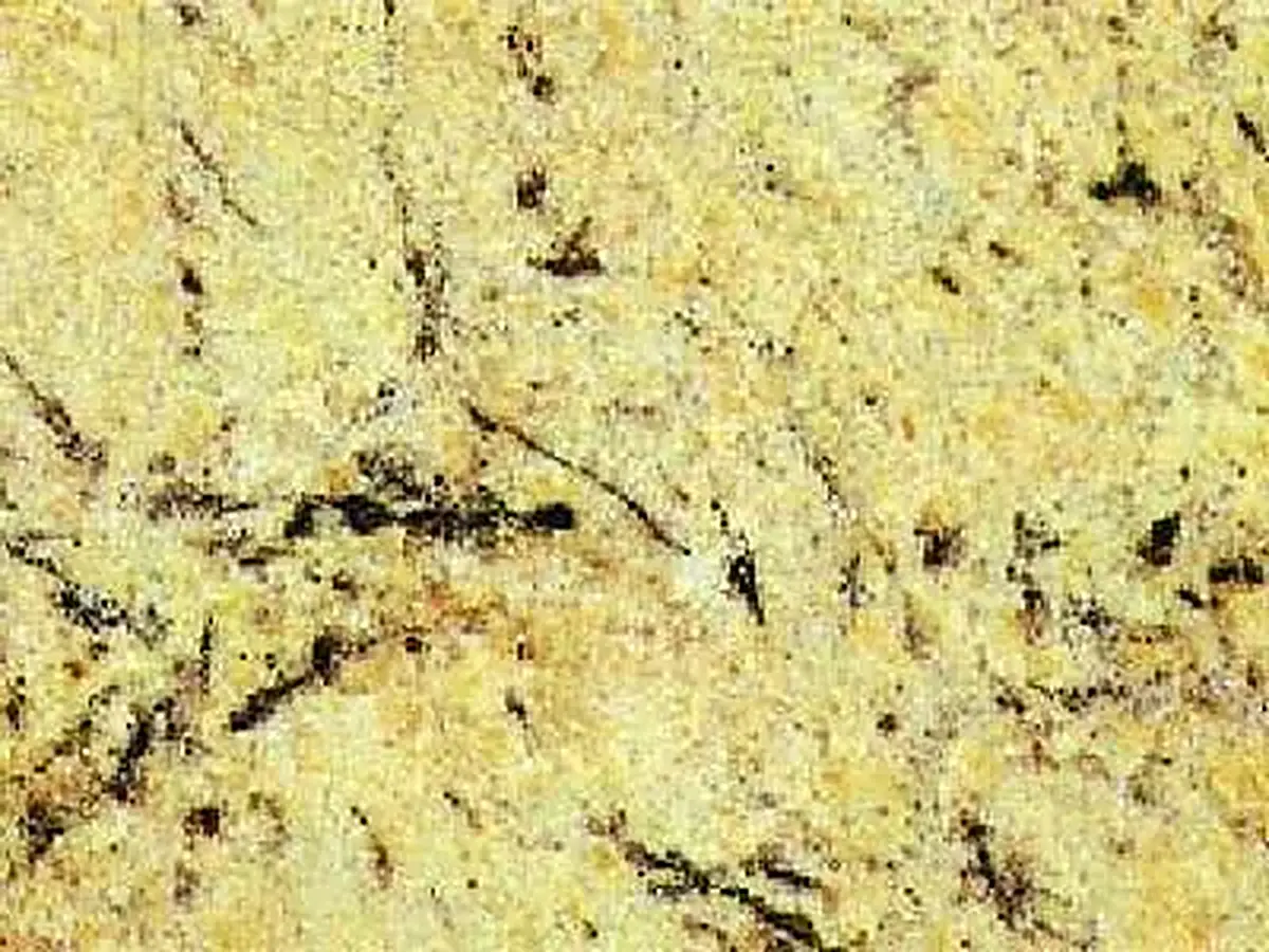 Amarelo Persa granit, échantillon poli – Marmi di Carrara – beige, doré (1)