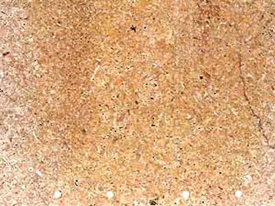 Amarillo Coral limestone