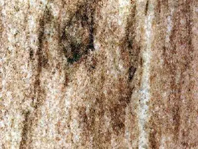 Amazonia Brown marble polished sample – Marmi di Carrara – beige, gold (1)