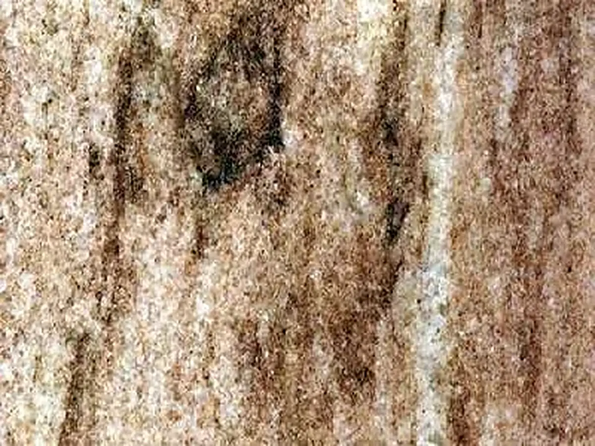 Amazonia Brown marble polished sample – Marmi di Carrara – beige, gold (1)