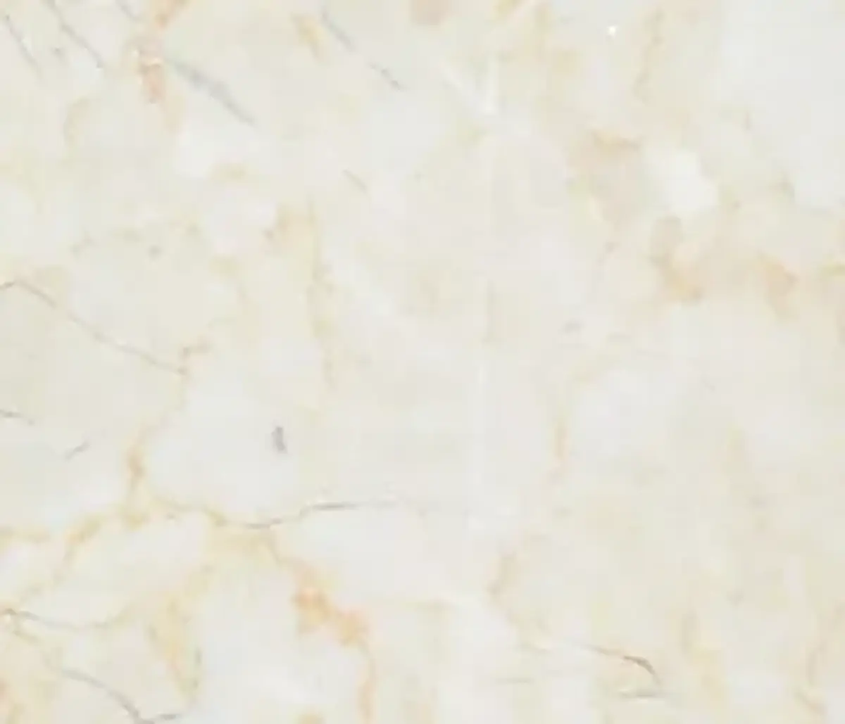 Amelas limestone polished sample – Marmi di Carrara – ivory, white (1)