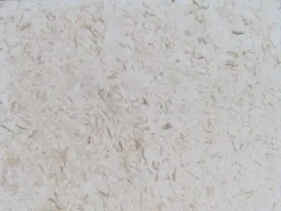 Amelas Fossil limestone