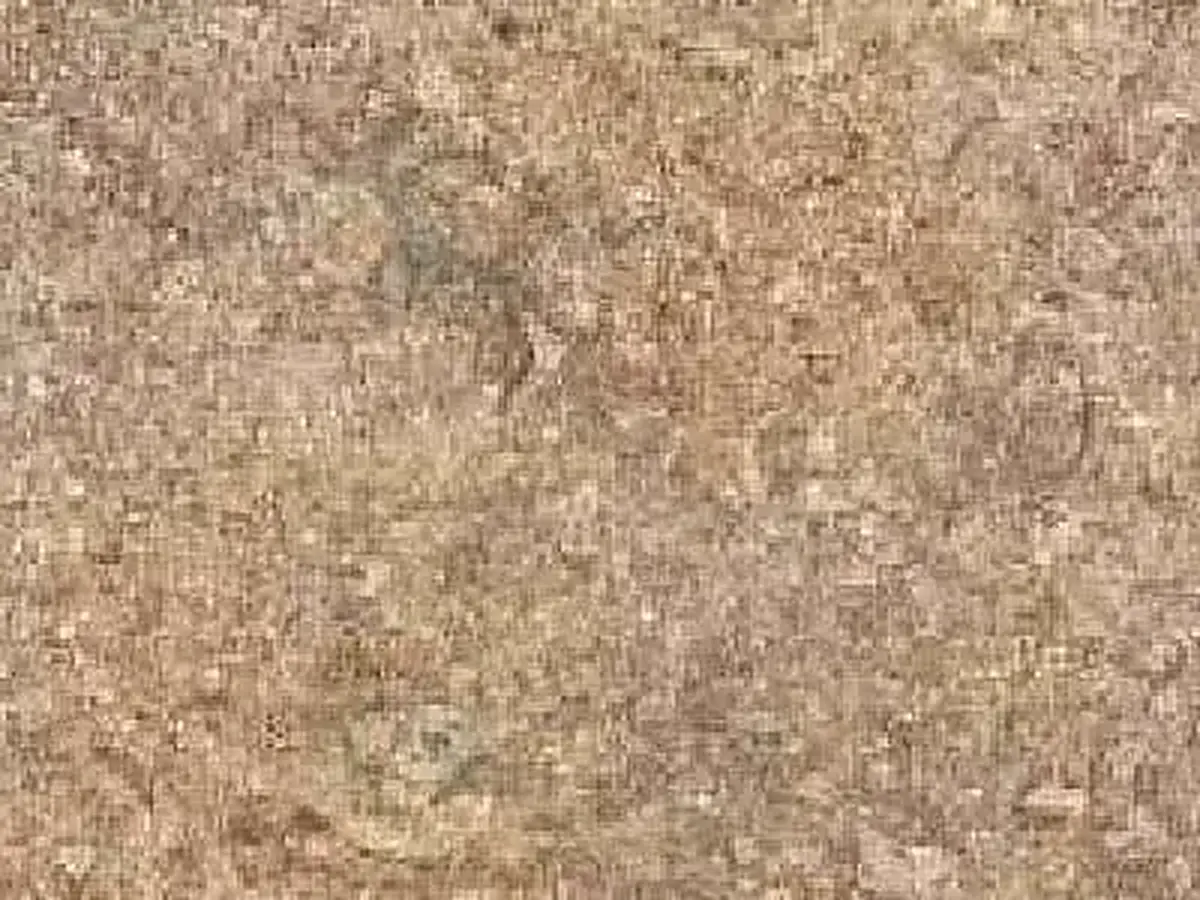 Ancaster Rose caliza, muestra pulida – Marmi di Carrara – beige, dorado (1)