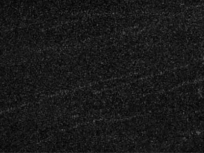 Anemone Black granite