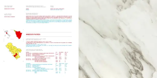 Arabescato marble slab surface – Marmi di Carrara – white, ivory (26)
