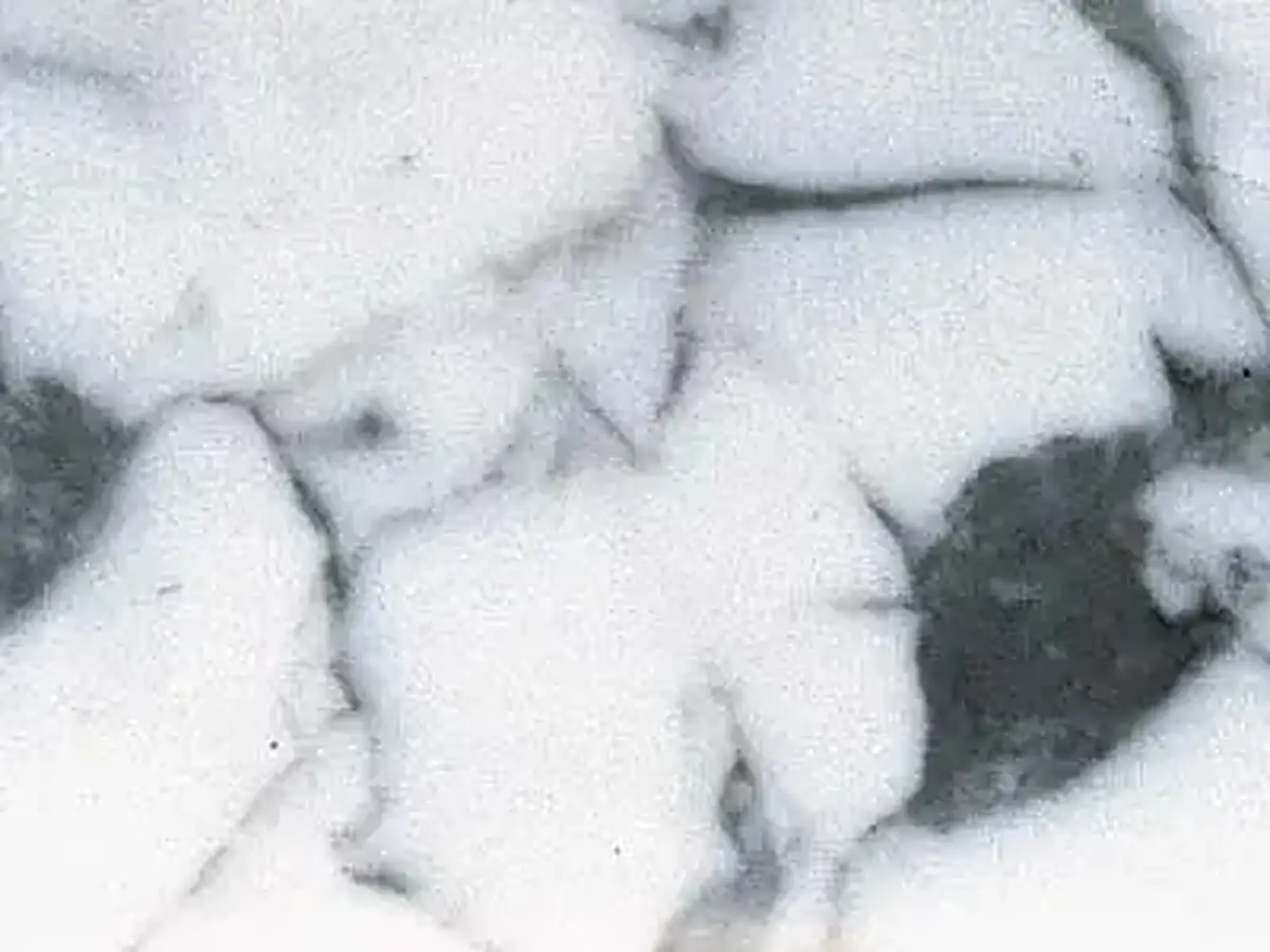 Arabescato Corchia Marmor, polierte Probe – Marmi di Carrara – weiß, elfenbein (25)