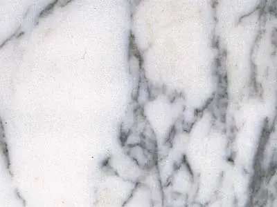 Arabescato Corchia Classico marmo