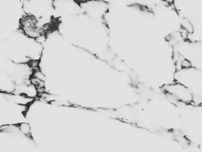 Arabescato Faniello marble polished sample – Marmi di Carrara – white, ivory (1)
