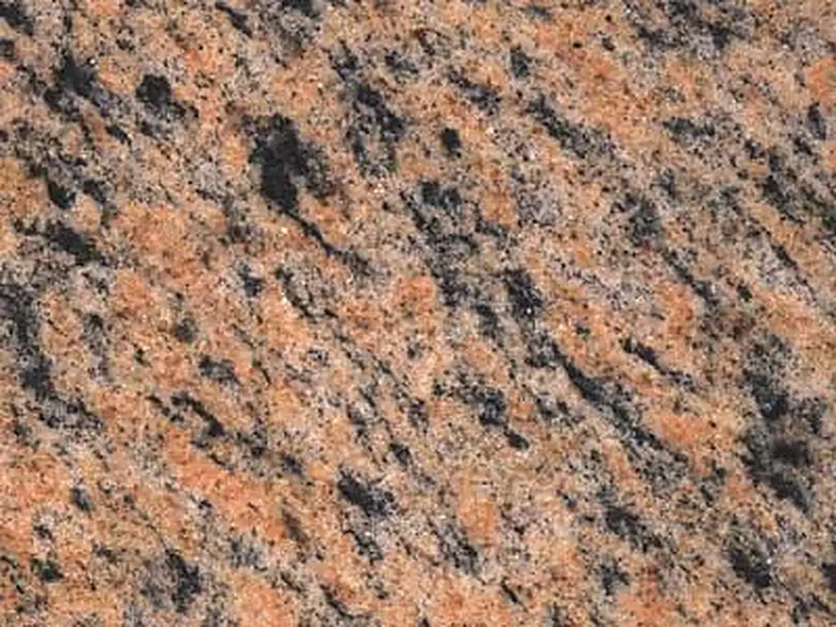 Arctic Pink granit, échantillon poli – Marmi di Carrara – doré, gris (1)