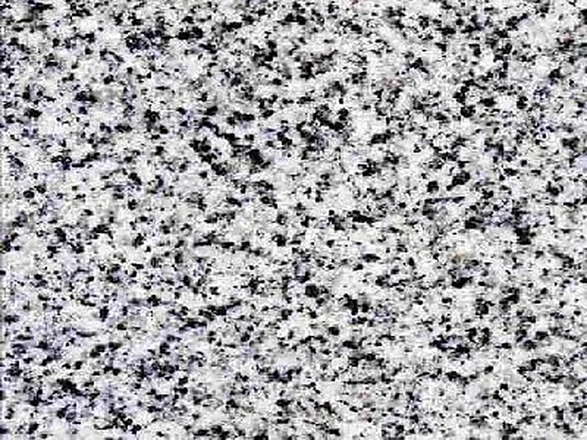 Arctic White granito, campione lucido – Marmi di Carrara – grigio chiaro, grigio (1)