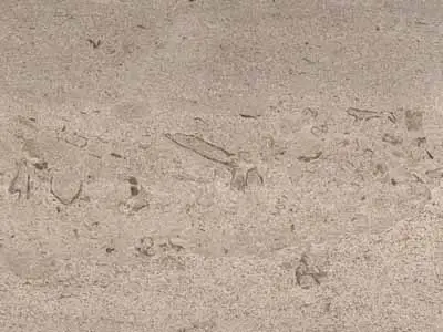 Arena limestone