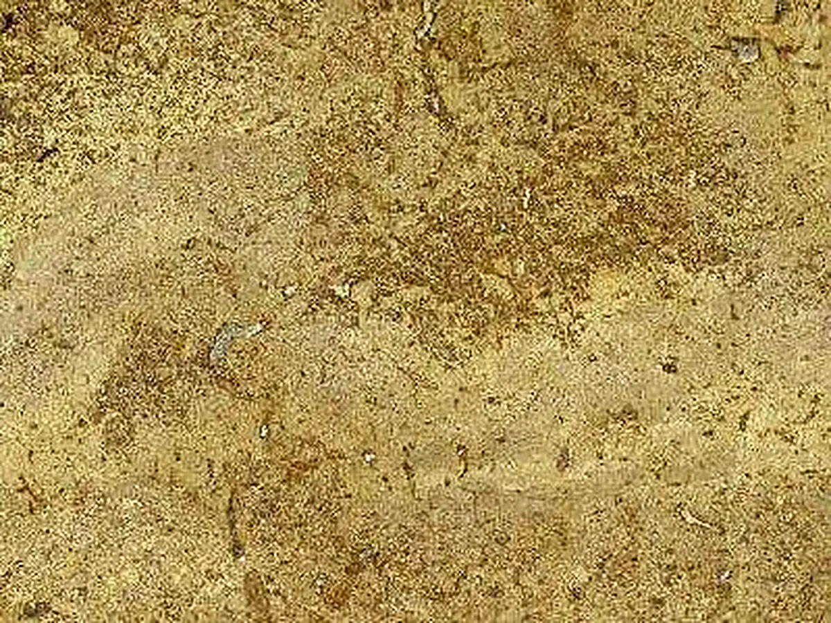 Arideas Travertin, polierte Probe – Marmi di Carrara – gold (1)