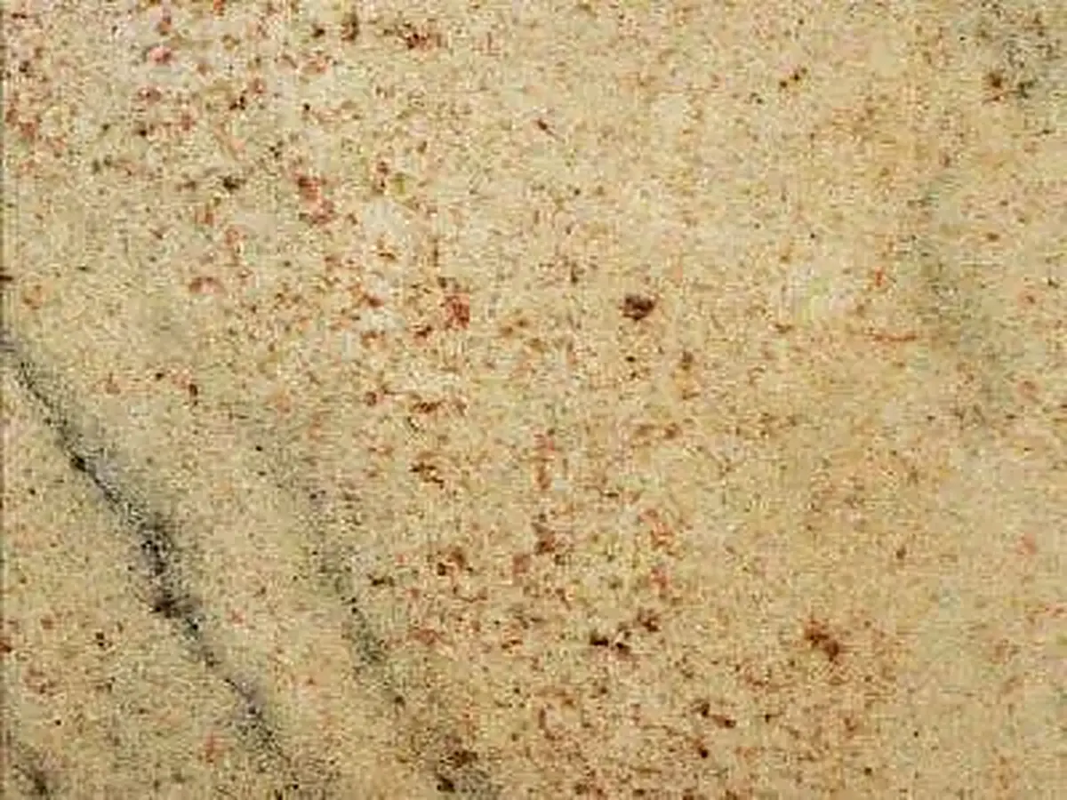 Arktinen Arkoosi quartzite, échantillon poli – Marmi di Carrara – beige, doré (1)