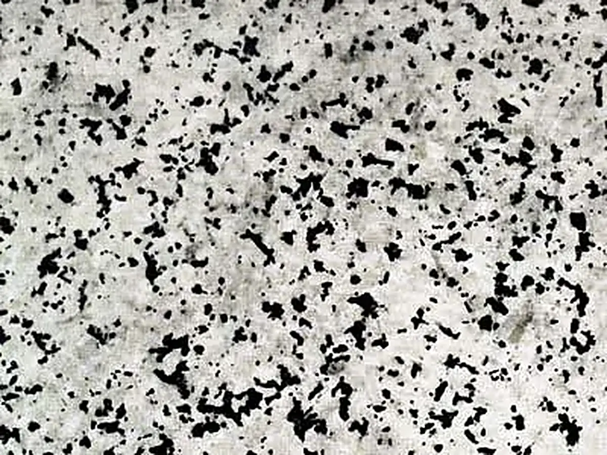 As de Paus granito, campione lucido – Marmi di Carrara – grigio chiaro, avorio (1)
