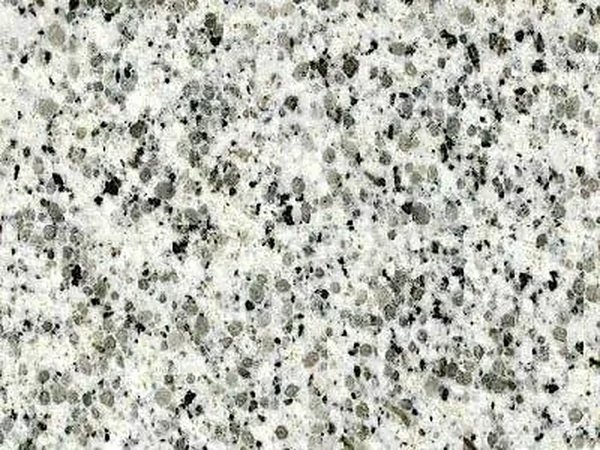 Asa Branca granito, muestra pulida – Marmi di Carrara – gris claro, gris (1)