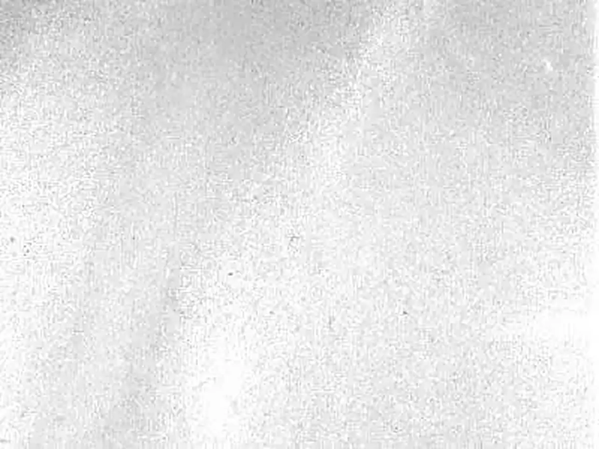Ash-White of Paros marble polished sample – Marmi di Carrara – white, ivory (1)