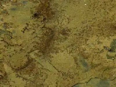 Ashok Gold slate