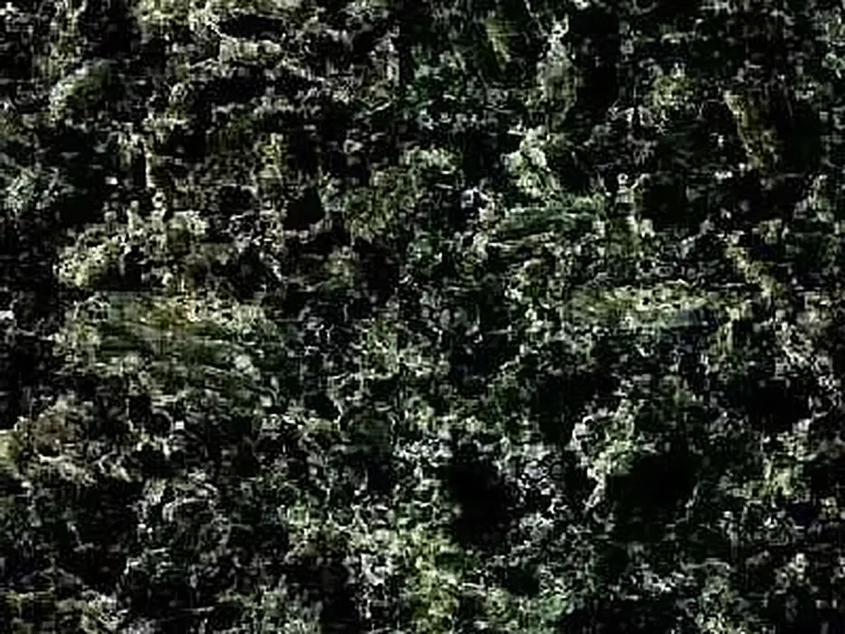 Atlantic Green гранит, полированный образец – Marmi di Carrara – чёрный, антрацитовый (1)