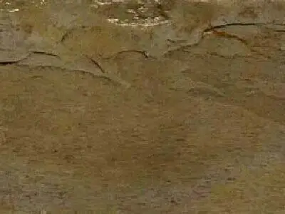 Autumn slate polished sample – Marmi di Carrara – brown (1)