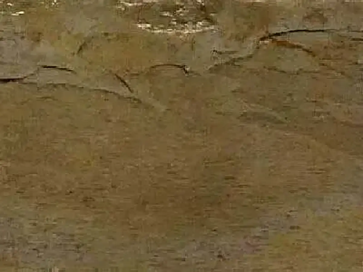 Autumn slate polished sample – Marmi di Carrara – brown (1)