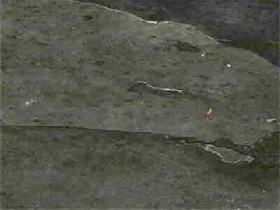 Autumn Black slate