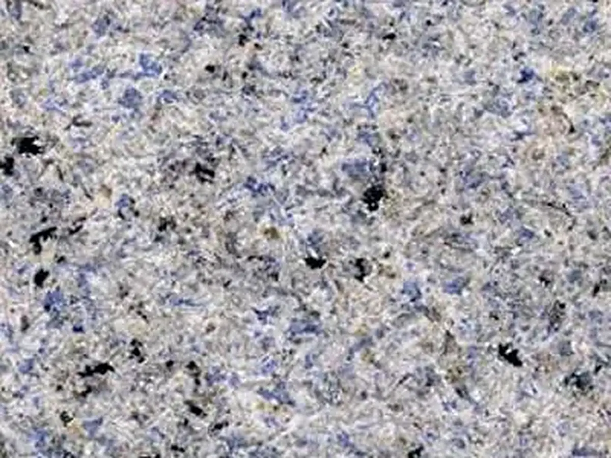 Azul Guanabara Granit, polierte Probe – Marmi di Carrara – hellgrau, grau (1)