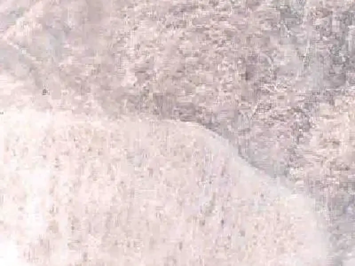 Badal известняк, полированный образец – Marmi di Carrara – слоновая кость, белый (1)