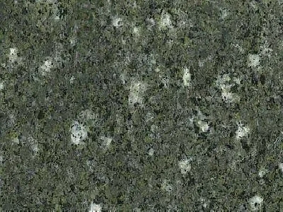 Balaban Green Granit, polierte Probe – Marmi di Carrara – anthrazit, grün (1)
