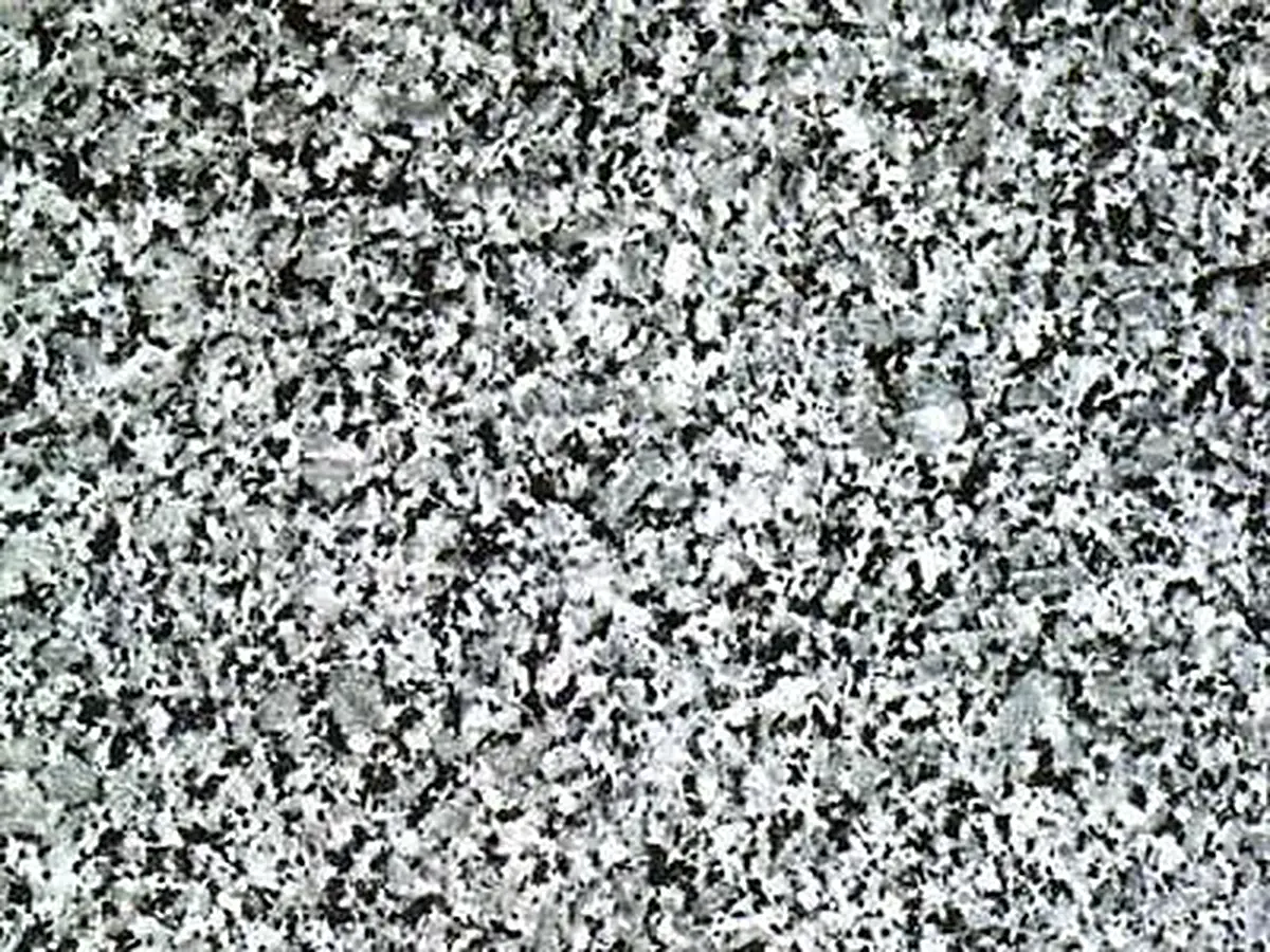Balma Granit, polierte Probe – Marmi di Carrara – grau, hellgrau (1)