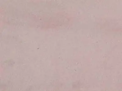 Bansi Pink arenaria