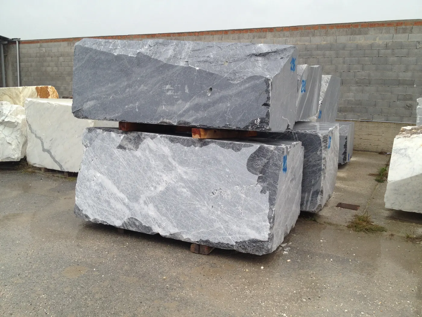 Bardiglio Marmor, Steinbruchblock – Marmi di Carrara – grau, elfenbein (7)
