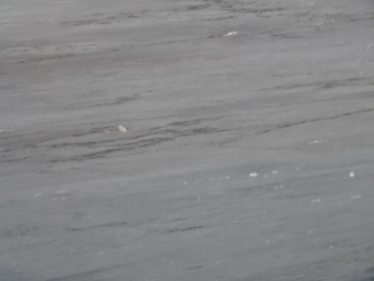 Bardiglio Imperiale marble slab surface – Marmi di Carrara – grey (10)