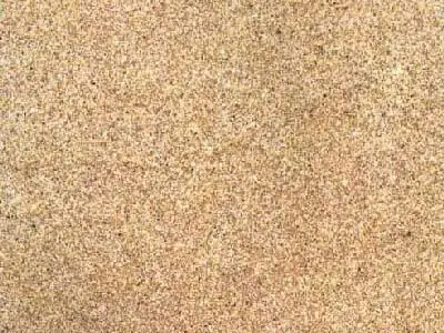 Bateig Llano limestone