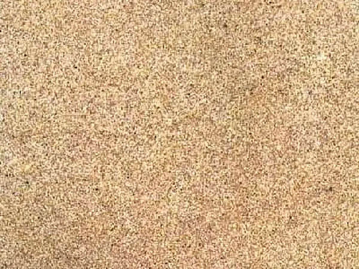 Bateig Llano calcaire, échantillon poli – Marmi di Carrara – beige, doré (1)
