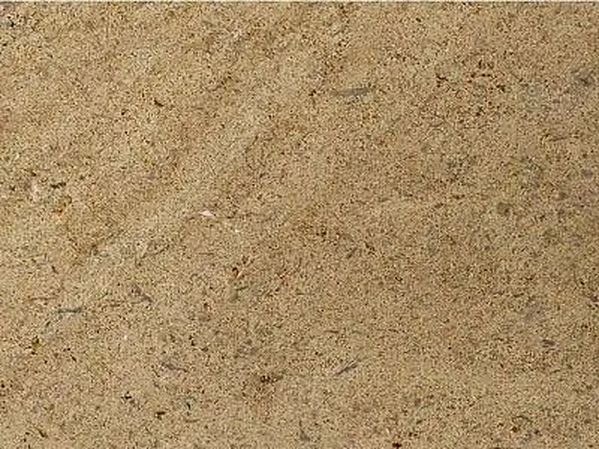 Beauvillon caliza, muestra pulida – Marmi di Carrara – dorado (1)