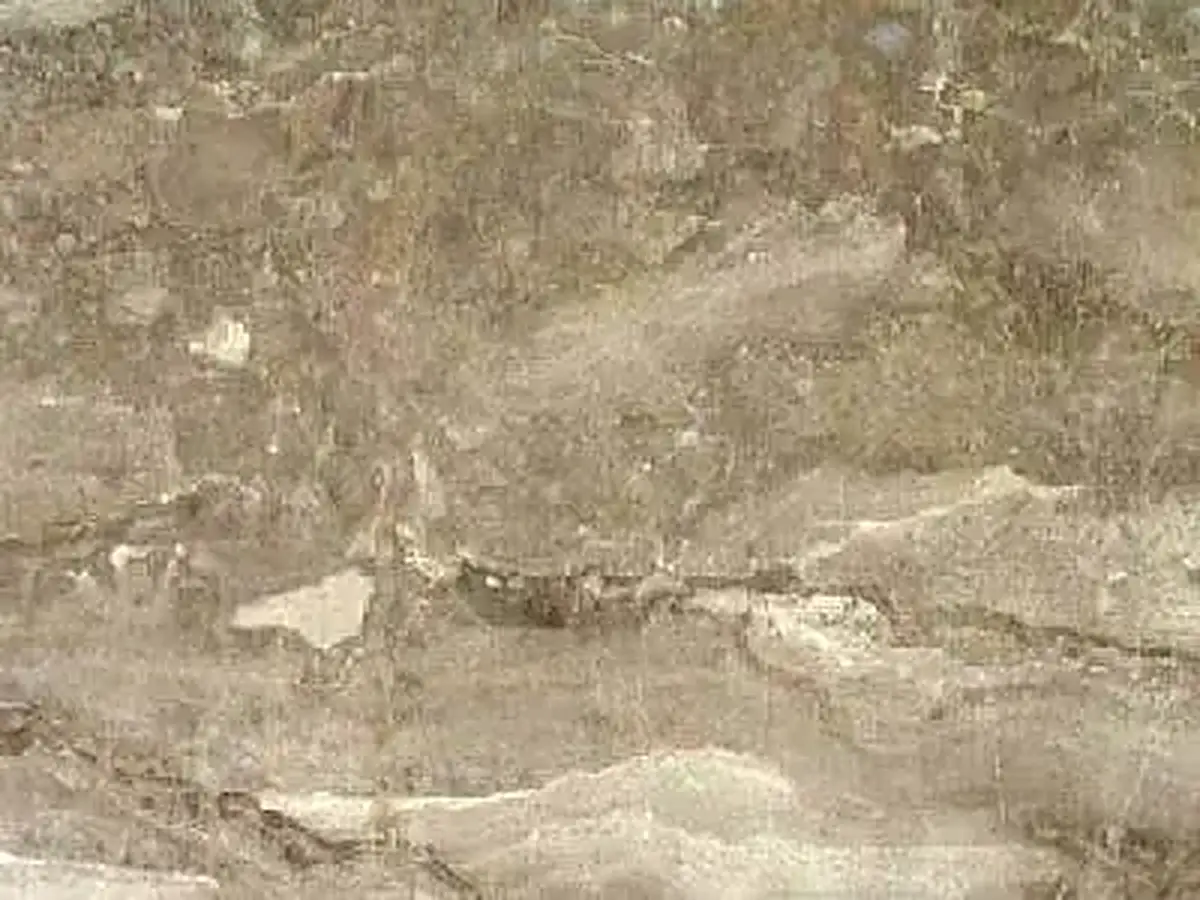Beige-banded of Karnezeika calcaire, échantillon poli – Marmi di Carrara – gris, beige (1)