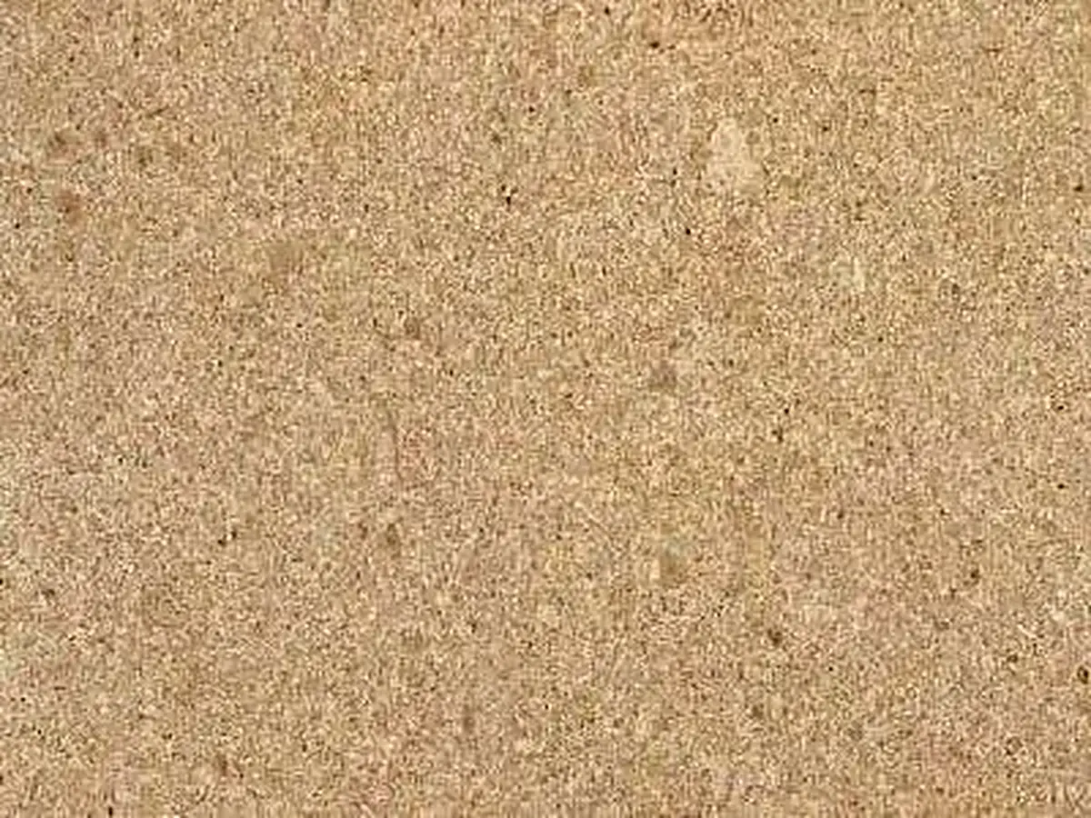 Beige of Missolongi calcaire, échantillon poli – Marmi di Carrara – beige, doré (1)