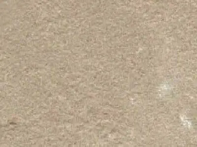 Beige Sandstone sandstone polished sample – Marmi di Carrara – beige (1)